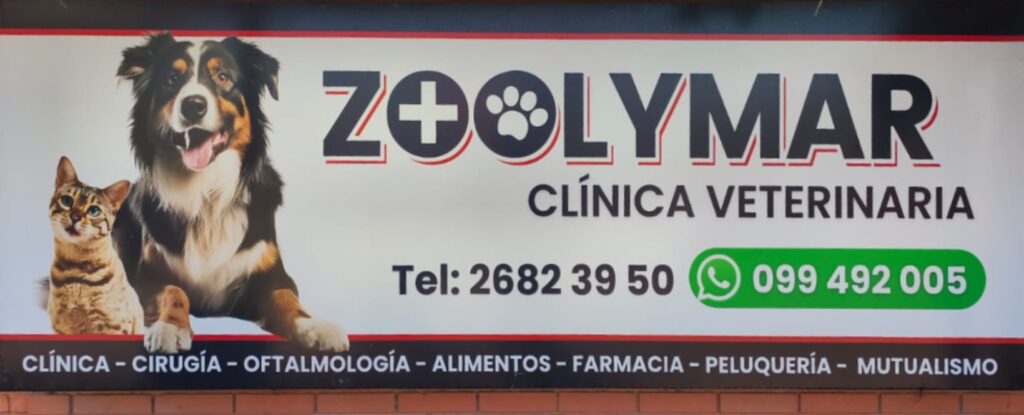 Imagen de portada
